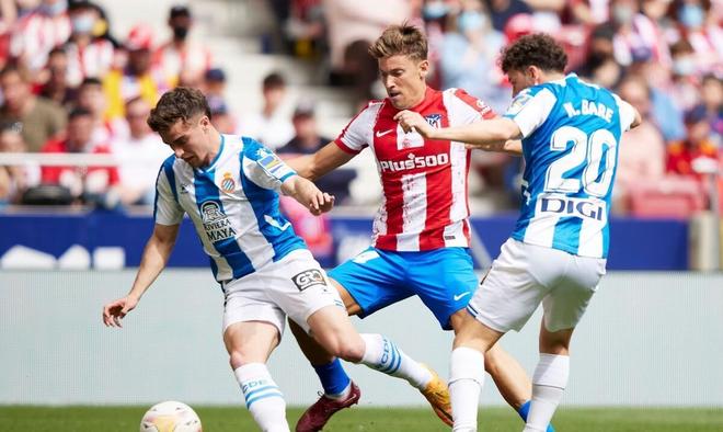 禁区中路高 禁区中路高