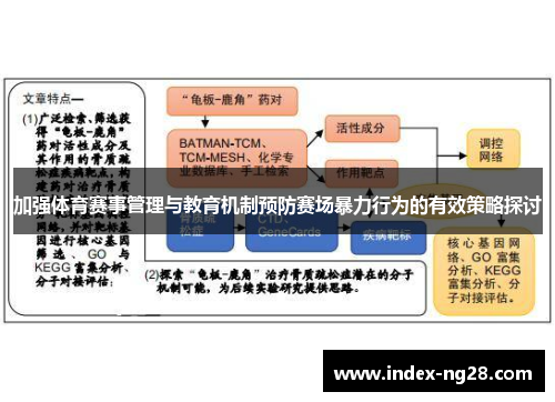 加强体育赛事管理与教育机制预防赛场暴力行为的有效策略探讨