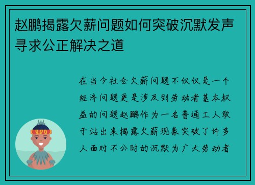 赵鹏揭露欠薪问题如何突破沉默发声寻求公正解决之道