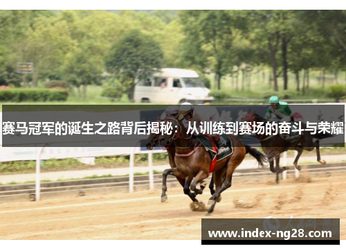 赛马冠军的诞生之路背后揭秘:从训练到赛场的奋斗与荣耀 赛马冠军的诞生之路背后揭秘:从训练到赛场的奋斗与荣耀